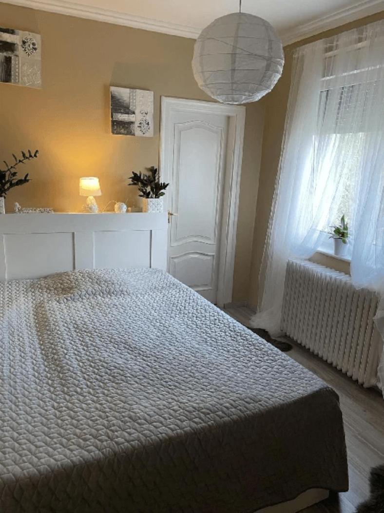 Pava Panzio Bed & Breakfast Soltvadkert Ngoại thất bức ảnh